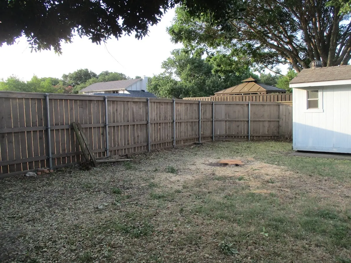 Cleared yard after professional tree removal in New Castle